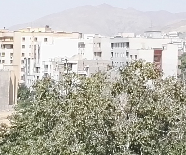Huawei P8 - هواوی پی 8
