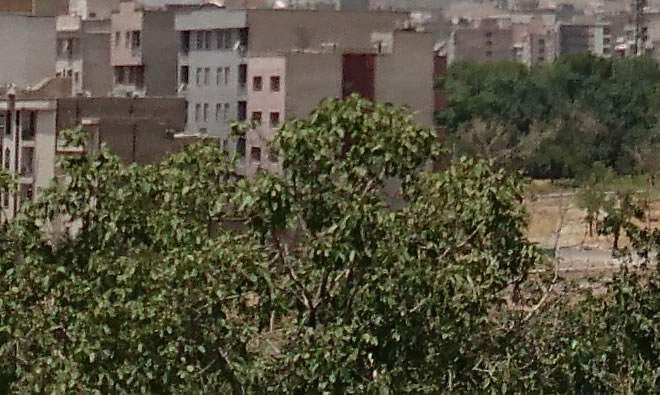 Sony Xperia Z3 Plus - سونی اکسپریا زد 3 پلاس